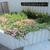 Thumbnail of related posts 109