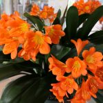 Thumbnail of related posts 044