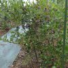 Thumbnail of related posts 055