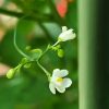 Thumbnail of related posts 128